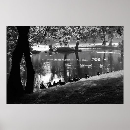 パークライフワップン ポスター (正面)