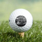 パークライフssf gbcnm ゴルフボール (インサイチュ 木)