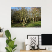 パークランドスケープインアーリー春 ポスター (ホームオフィス)