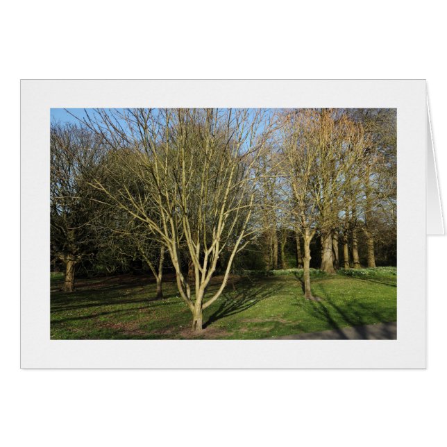 パークランドスケープイン初期春縁ど() (正面横)