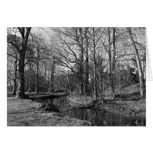 パークランドスケープ – ビュートパークカーディフ (正面横)