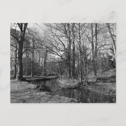 パークランドスケープ – ビュートパークカーディフ ポストカード (正面)