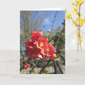 パーク日本のカードのクリン カード (黄色い花)