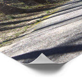 パーク歩くブリッジポスター ポスター (角)