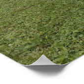 パーク ポスター (角)