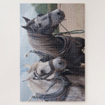 パーシェロンの耕作パズル