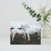 パーシェロングルーミングお互い ポストカード (スタンド正面)