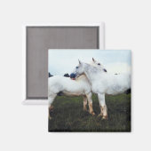 パーシェロングルーミングお互い マグネット (正面/裏面)