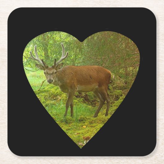 パーシカルレッドディアスタグ紙コースター スクエアペーパーコースター (正面)