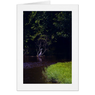 パーシバルの島、リンチバーグヴァージニア