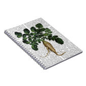 パースニップ1 ノートブック (右側)