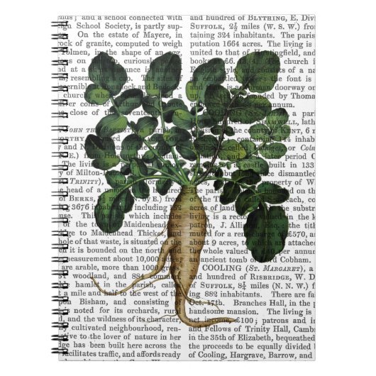 パースニップ1 ノートブック (正面)