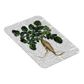 パースニップ1 マグネット (右側)