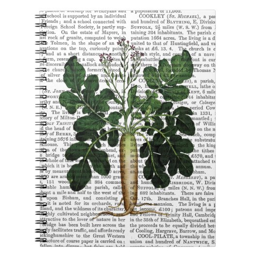 パースニップ3 ノートブック (正面)