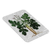 パースニップ3 マグネット (右側)