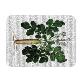 パースニップ3 マグネット (横)