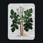 パースニップ3 マグネット<br><div class="desc">キッチンとバス</div>