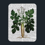 パースニップ3 マグネット<br><div class="desc">キッチンとバス</div>