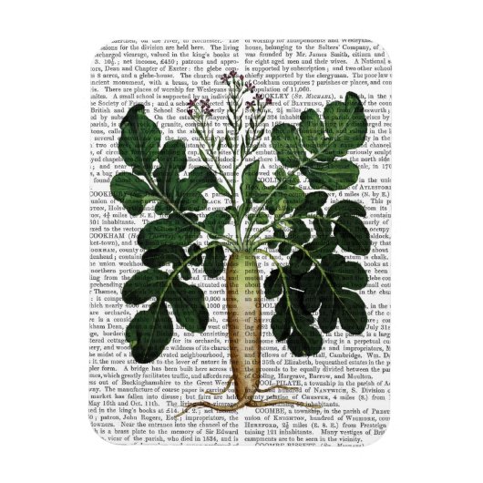 パースニップ3 マグネット (縦)