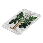 パースニップ3 マグネット (左側)