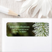 パースビューパインズ住所 シール (インサイチュ)