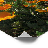 パース内のポピー ポスター (角)