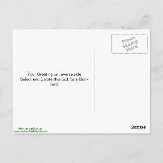 パース動物園の木に座るコアラ ポストカード (裏面)