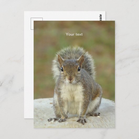 パーソナライズかわいいリス顔へ顔写真 ポストカード (正面/裏面)
