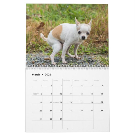 パーソナライズされたおもしろい犬の準備カレンダー2024 カレンダー (3月 2026)
