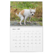 パーソナライズされたおもしろい犬の準備カレンダー2024 カレンダー (3月 2027)