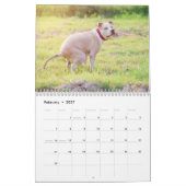 パーソナライズされたおもしろい犬の準備カレンダー2024 カレンダー (2月 2027)