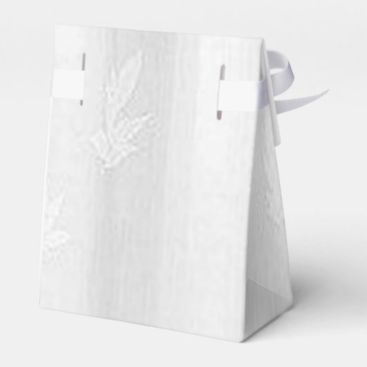 パーソナライズされたちょうど結婚ハネムーン車のお気に入りボックス フェイバーボックス (裏面サイド)