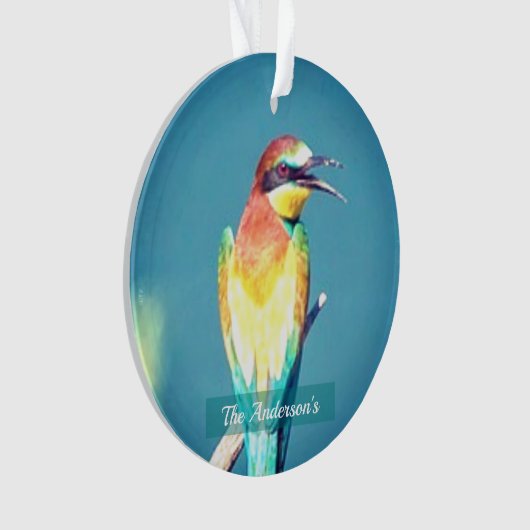 パーソナライズされたカスタムカラフル鳥の写真 オーナメント (正面)