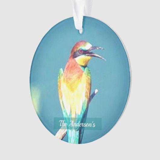 パーソナライズされたカスタムカラフル鳥の写真 オーナメント (正面)