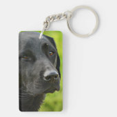 パーソナライズされたカスタムペットの写真と名前 キーホルダー (裏面)