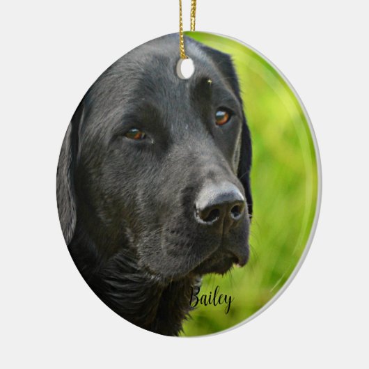パーソナライズされたカスタムペットの写真と名前 セラミックオーナメント (左)