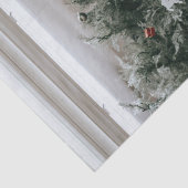 パーソナライズされたカスタムモダンクリスマス家族の写真 薄葉紙 (詳細)