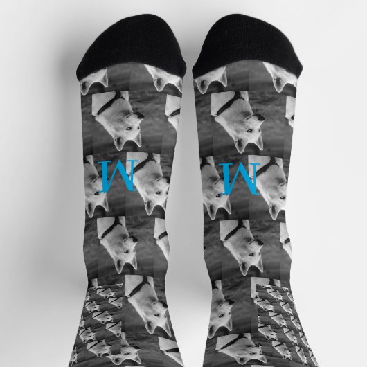 パーソナライズされたカスタムモノグラムエレガント犬ペットフォト ソックス (上部)