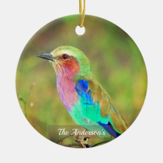 パーソナライズされたカスタム数々の鳥の写真 セラミックオーナメント (正面)