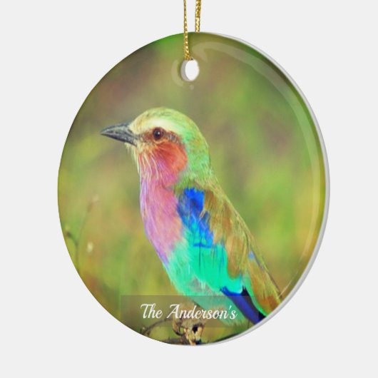 パーソナライズされたカスタム数々の鳥の写真 セラミックオーナメント (左)