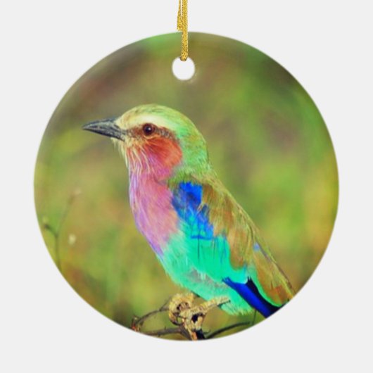 パーソナライズされたカスタム数々の鳥の写真 セラミックオーナメント (裏面)