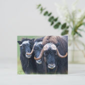 パーソナライズされたカスタム文字 ポストカード (スタンド正面)