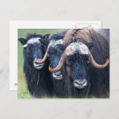 パーソナライズされたカスタム文字 ポストカード (正面/裏面)