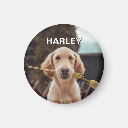 パーソナライズされたカスタム文字 マグネット (正面)