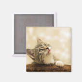 パーソナライズされたカスタムPet写真と文字 マグネット (正面/裏面)