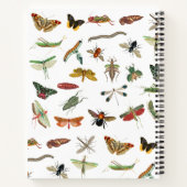 パーソナライズされたカラフルヴィンテージ ノートブック (裏面)