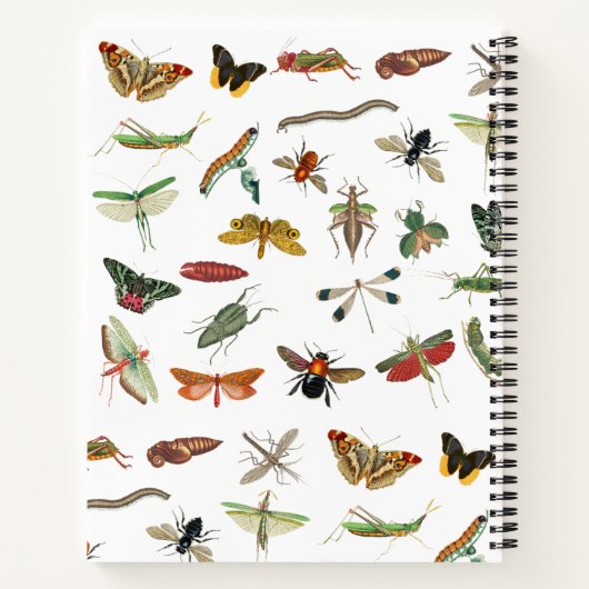 パーソナライズされたカラフルヴィンテージ ノートブック (裏面)