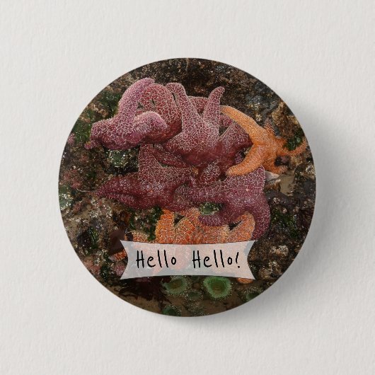 パーソナライズされたカラフルStarfish/Sea Star写真5 缶バッジ (正面)