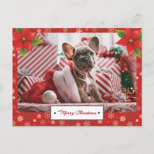 パーソナライズされたクリスマスの写真 ポストカード (正面)