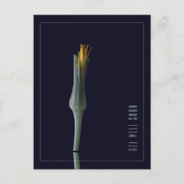 パーソナライズされたシンプルでエレガントな花の回復祝いメッセージ ポストカード